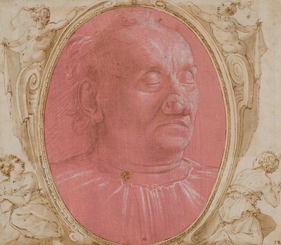 Head of an Old Man by Domenico Ghirlandaio
